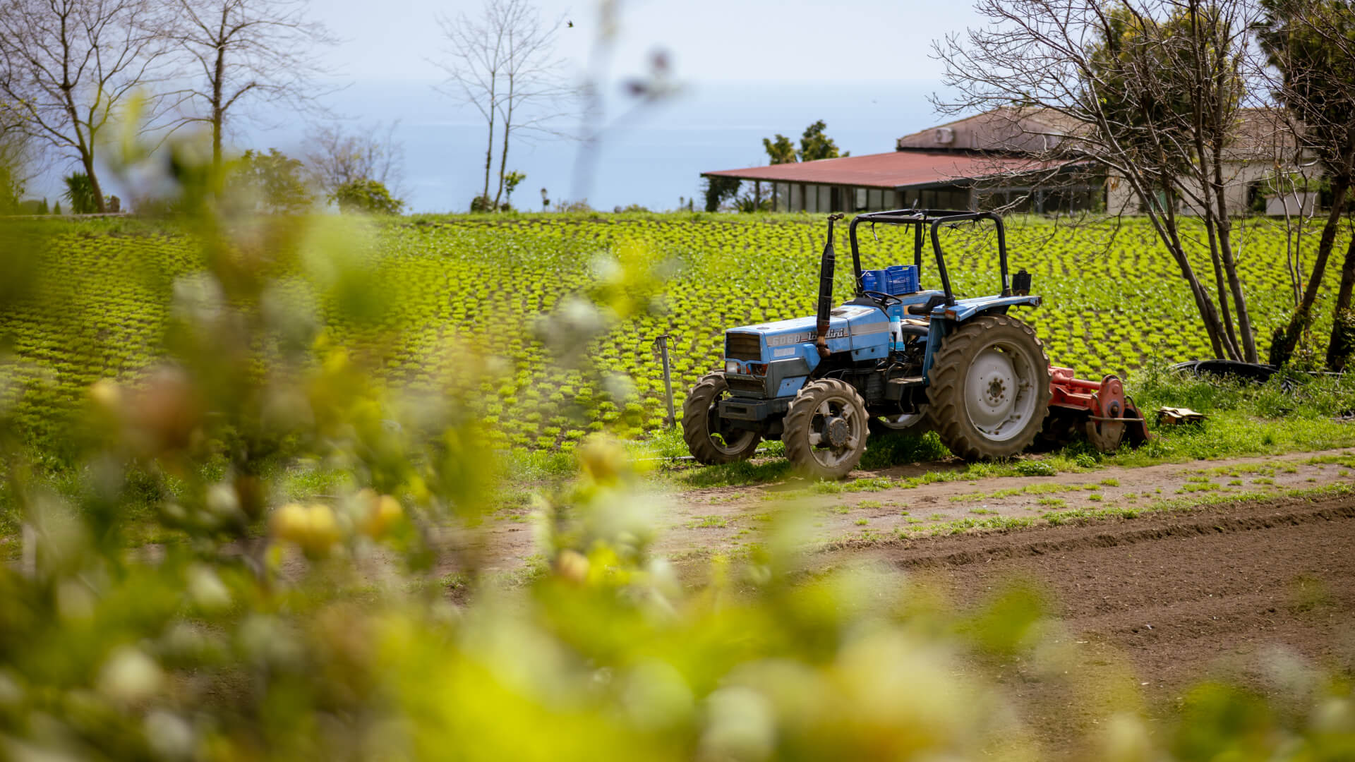 Dal campo alla tavola
