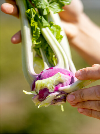 Riconoscimento slow food