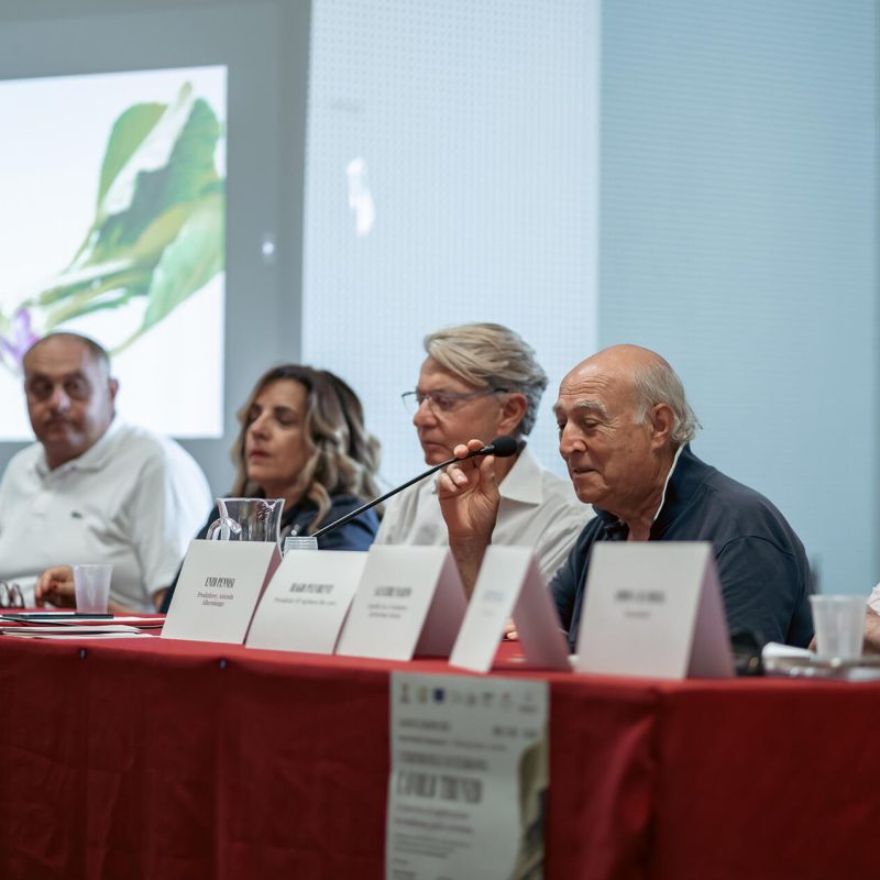 Evento per il cavolo Trunzo delle Aci