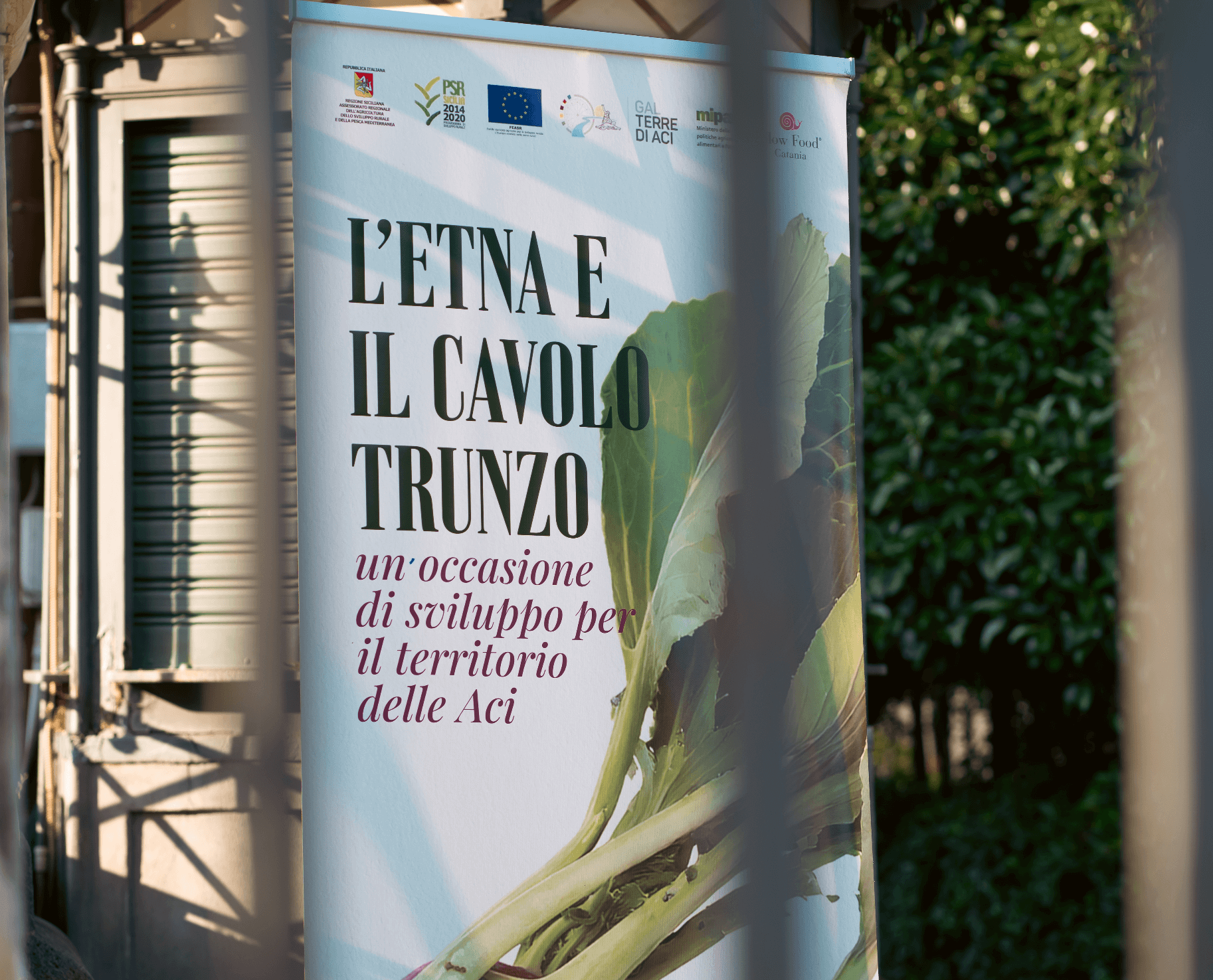 I territori delle Aci tra tradizione e gusto, il cavolo trunzo in scena